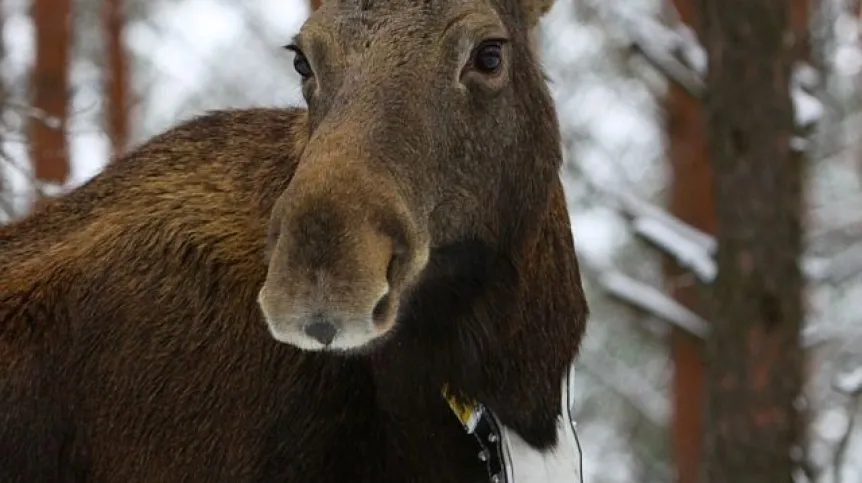Fot. Rafał Kowalczyk