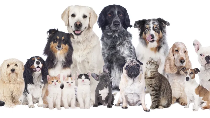 Fot. Fotolia