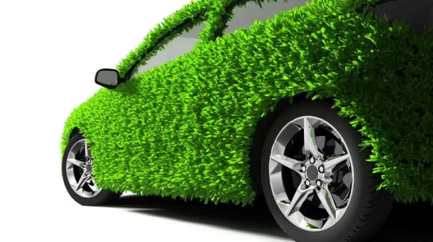 Fot. Fotolia
