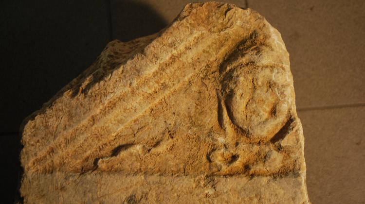 Głowa Meduzy wieńcząca stelę weterana z legionu - symbol apotropaiczny, fot. T.Dziurdzik