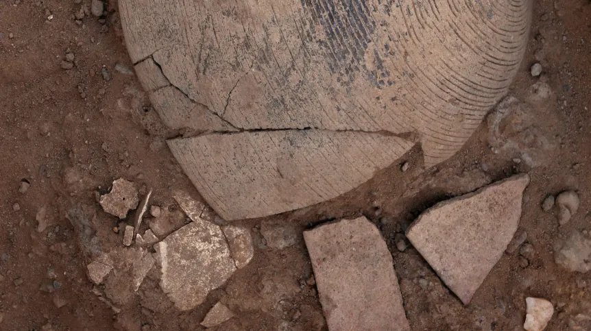 Jedno z naczyń przykrywające szczątki płodu w momencie odkrycia, fot. M. Jórdeczka