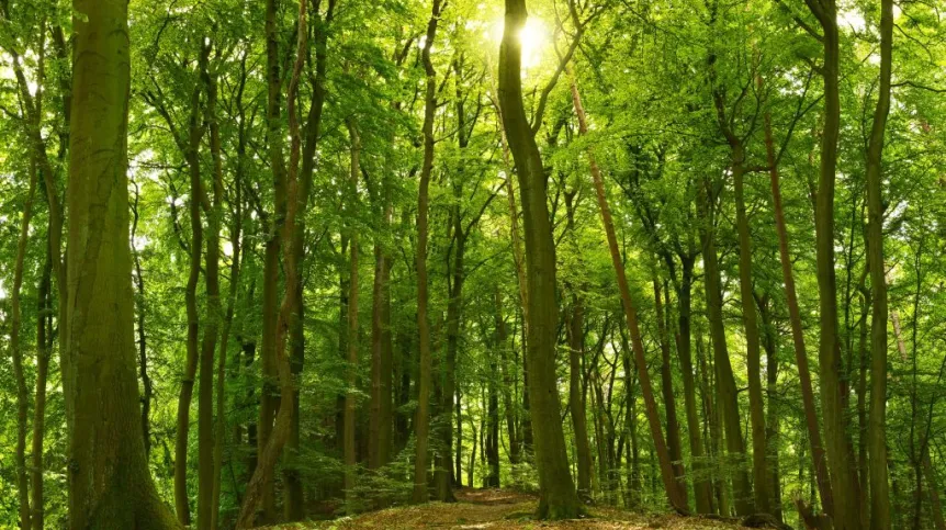 Fot. Fotolia