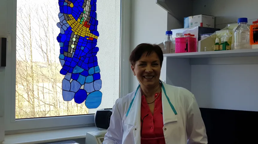 Źródło: B. Gawrońska-Kozak