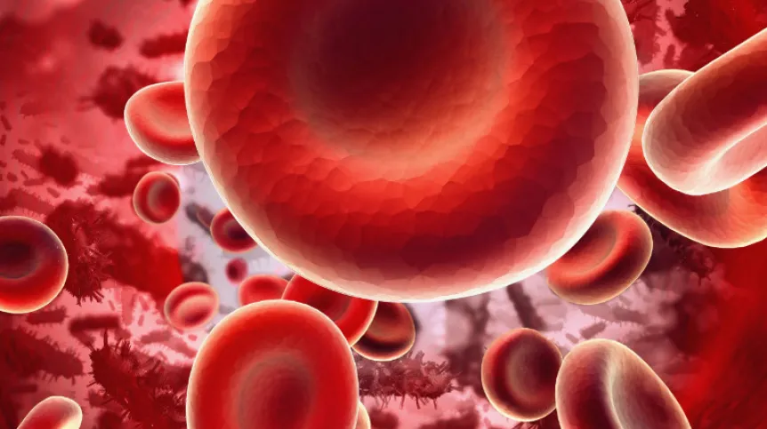 Rys. Fotolia