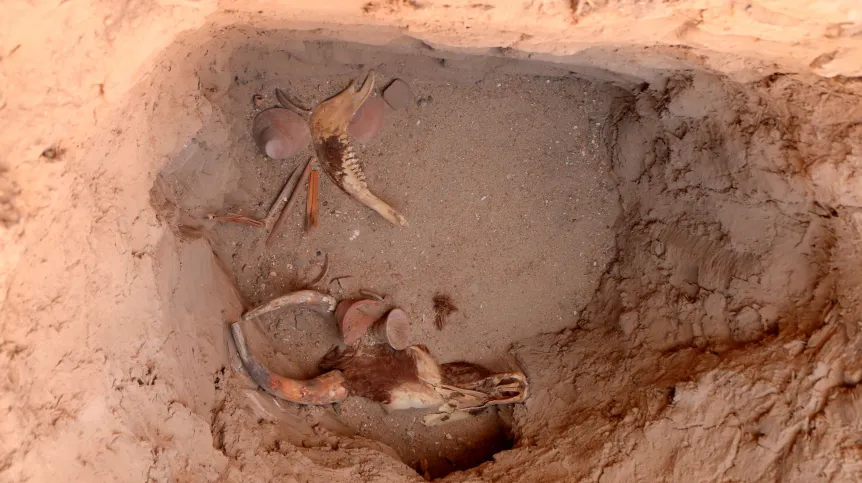 Depozyt w momencie odkrycia, fot. E. Józefowicz 