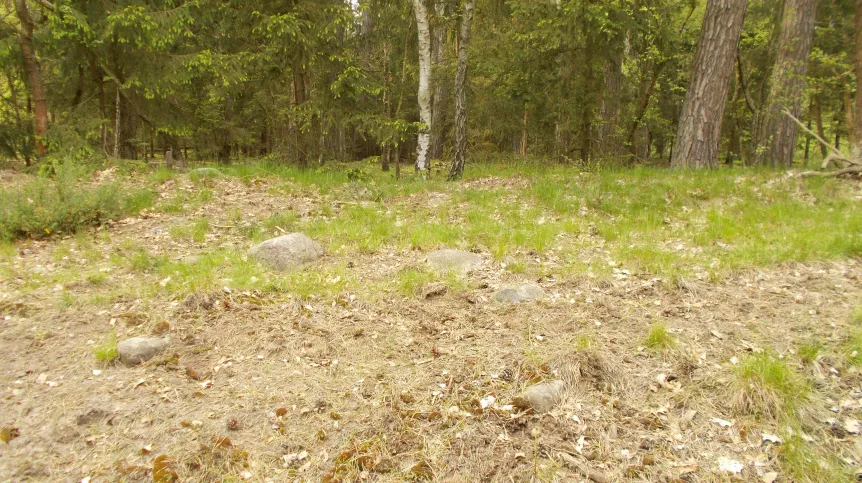 Na trawie widoczne są duże głazy, które tworzyły kamienną obstawę grobowca, fot. B. Przybyła