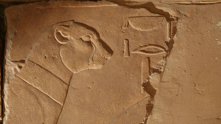 Fragmentarycznie zachowany sekretarz z Portyku Puntu. Świątynia Hatszepsut w Deir el-Bahari. Fot. Jadwiga Iwaszczuk.