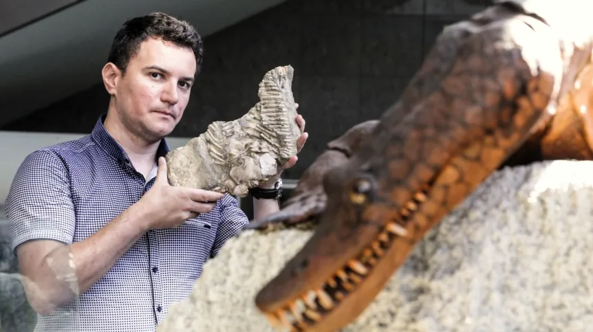 Paleontolog Dawid Surmik prezentuje na Uniwersytecie Śląskim fragment szkieletu proneustikozaura, morskiego gada sprzed 245 milionów lat odkrytego na przełomie XIX i XX wieku w Gogolinie. Fot. PAP/Dominik Gajda  07.06.2018