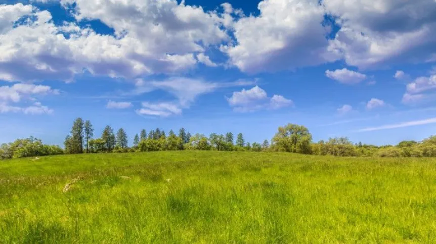 Fot. Fotolia