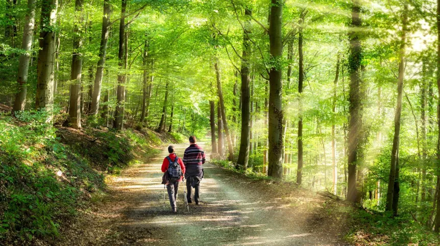 Fot. Fotolia