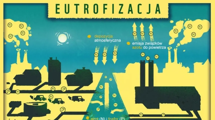 Fot. materiały prasowe