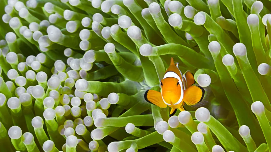 Fot. Fotolia
