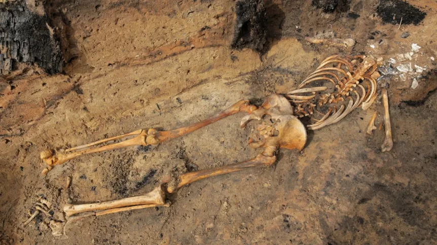 Szkielet znaleziony podczas wykopalisk archeologicznych w XIV-wiecznej osadzie k. Barczewka zwanej "warmińskimi Pompejami". Fot. PAP/Tomasz Waszczuk 27.08.2018