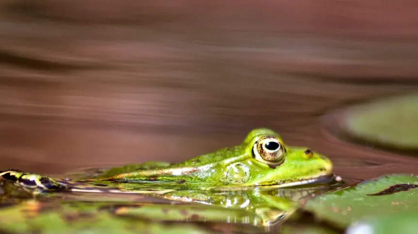 Fot. Fotolia