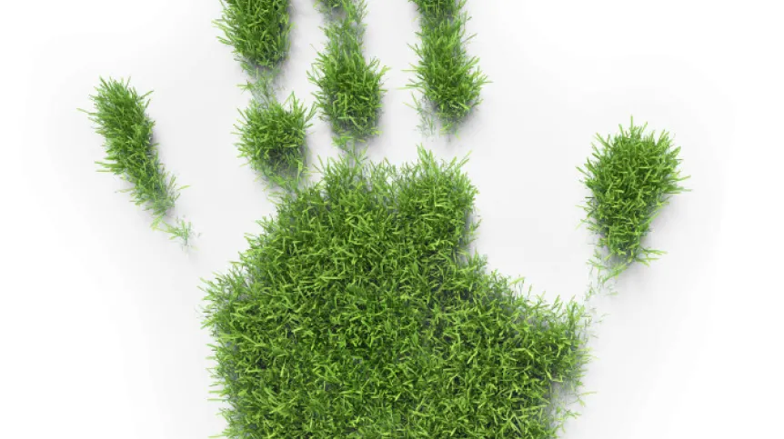 Fot. Fotolia
