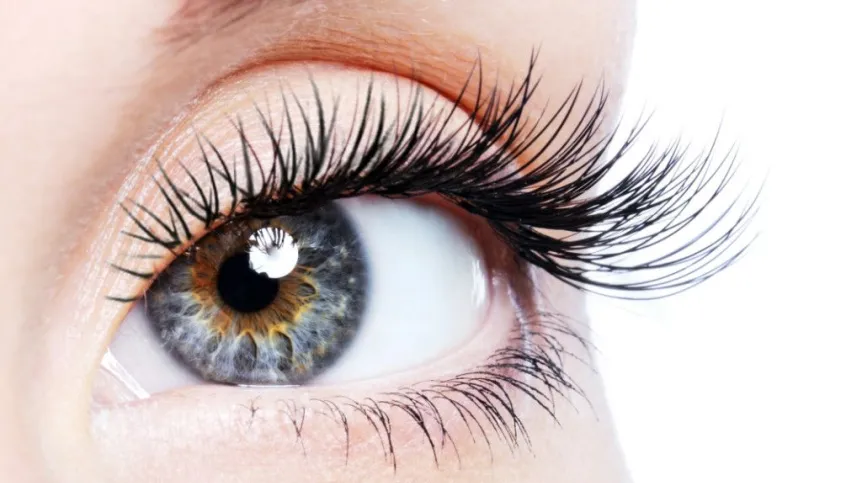 Foto: Fotolia