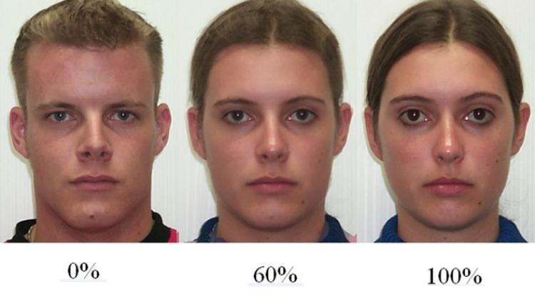 Przykładowe zdjęcia użyte w badaniu. Po lewej – twarz o cechach typowo męskich, po prawej – twarz o cechach kobiecych. © 2016 Owen et al., źródło: PLOS One 
