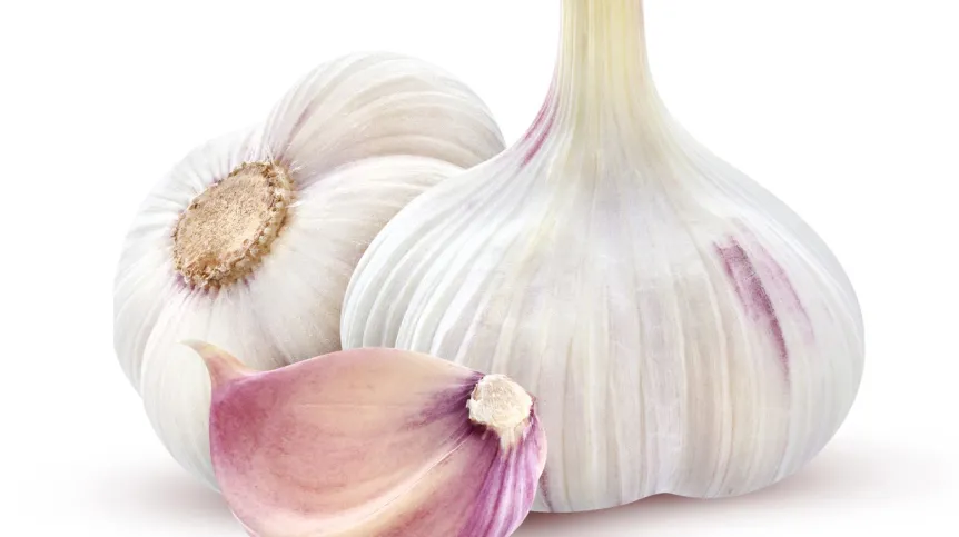 Fot. Fotolia