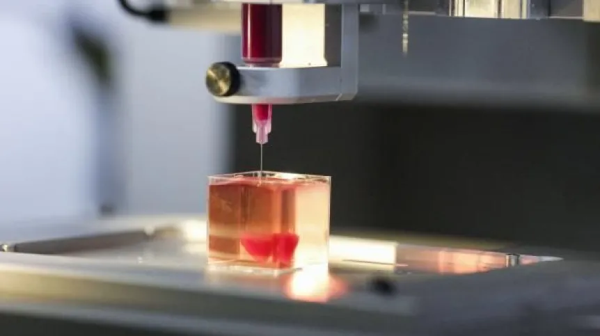 Źródło: EPA/STR Dostawca: PAP/EPA