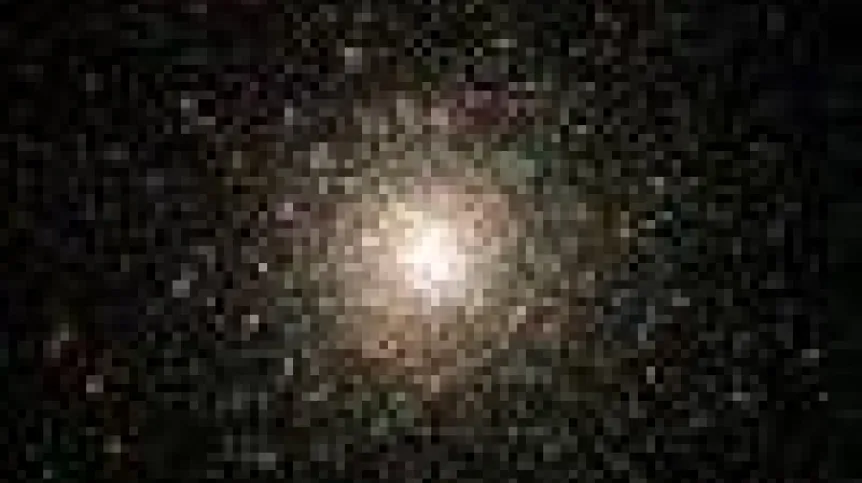 rój- nasa .100.2.jpg