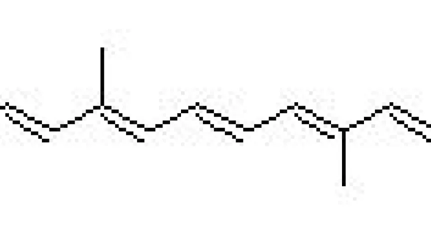 Budowa chemiczna luteiny