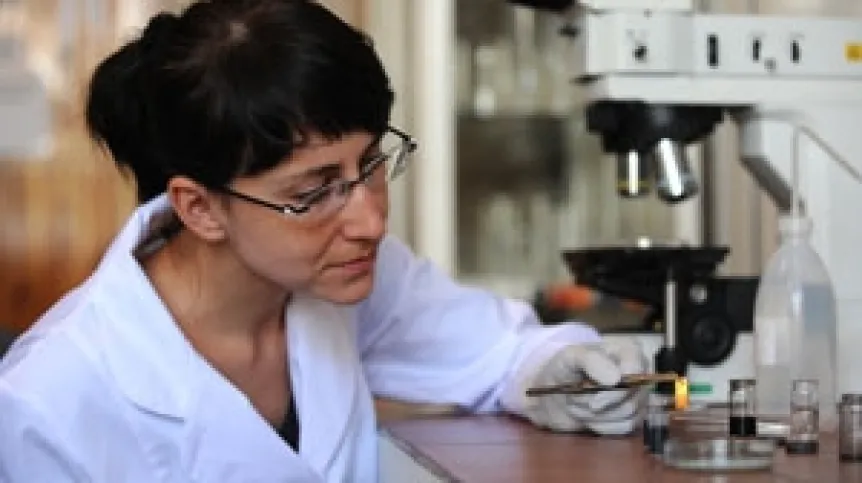 W Instytucie Chemii Fizycznej PAN powstają nowoczesne elektrody pokrywane warstwami nanocząstek węgla. Źródło: IChF PAN, Grzegorz Krzyżewski