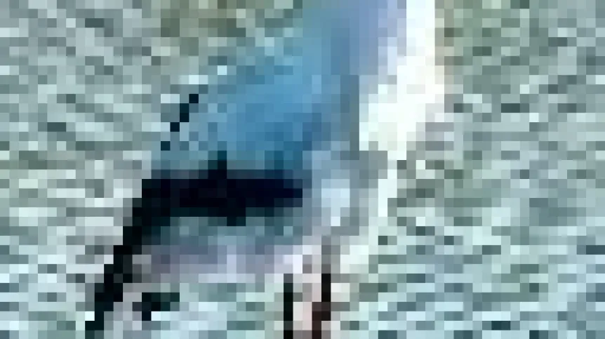 bocian_2.jpeg