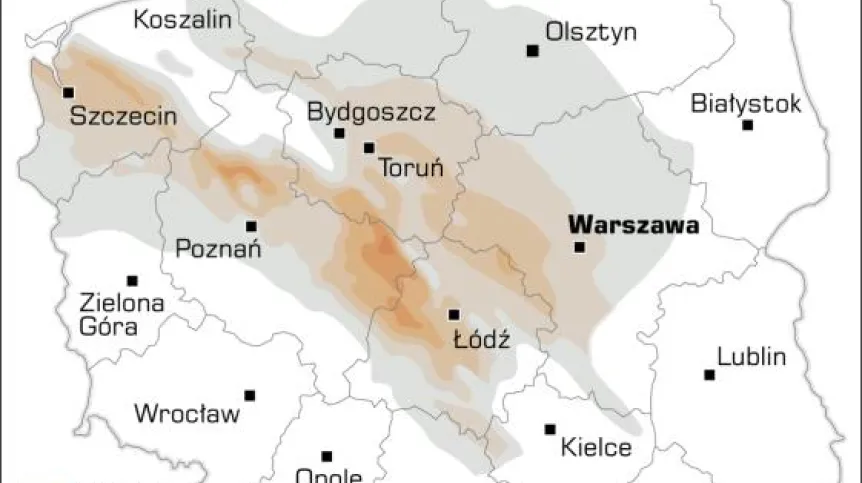 Źródło: Infografika PAP