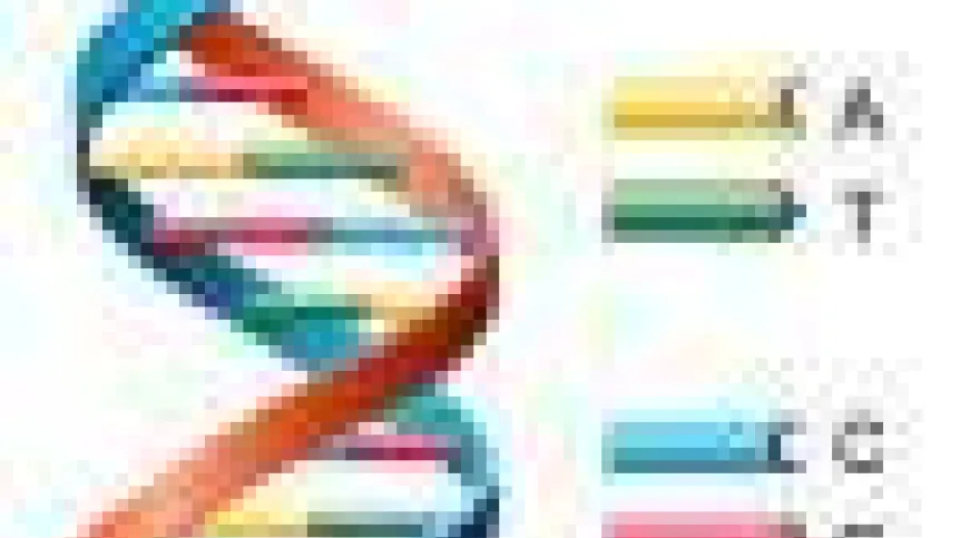 images_dna.jpg