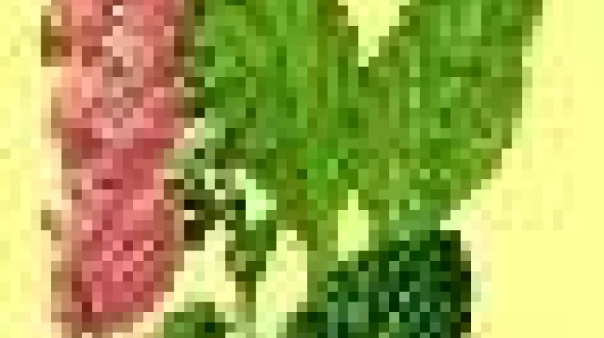 naparstnica.jpeg