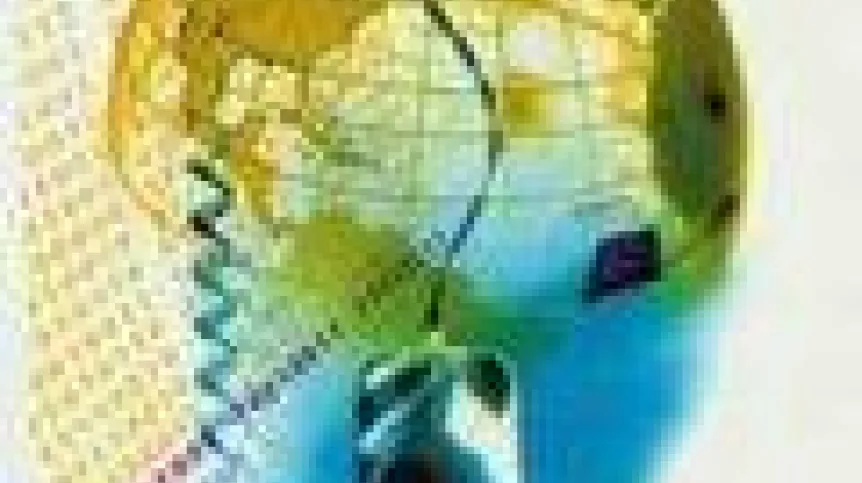 network.120.jpg