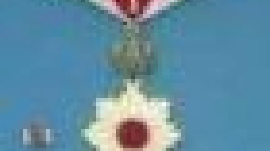 order.70.jpg