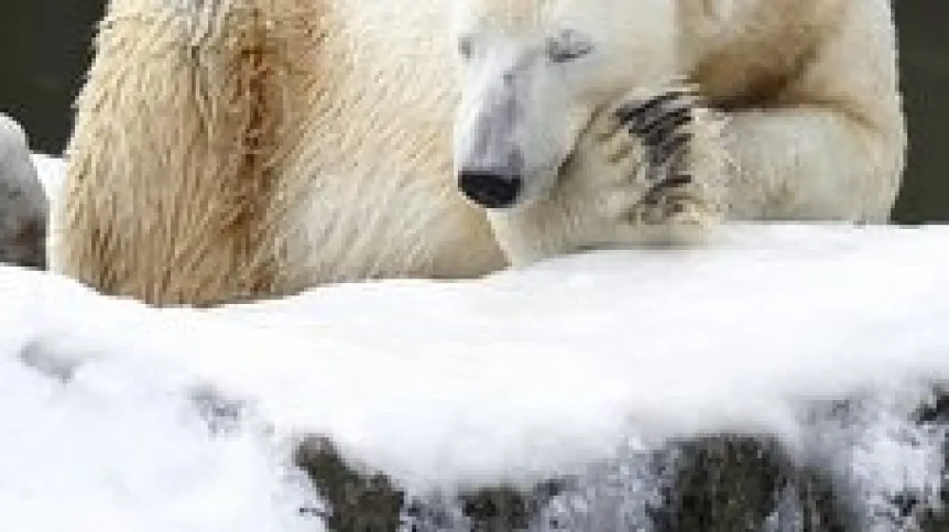 EPA/Marcel Mettelsiefen