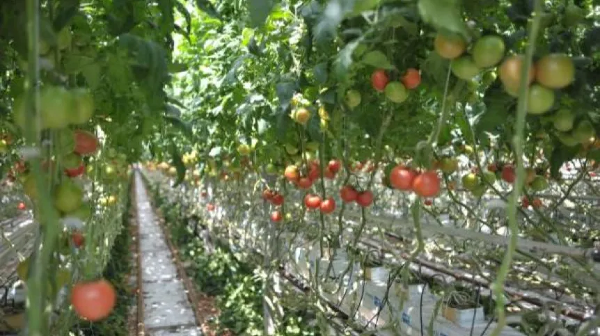 Fot. PAP/Przemysław Piątkowski