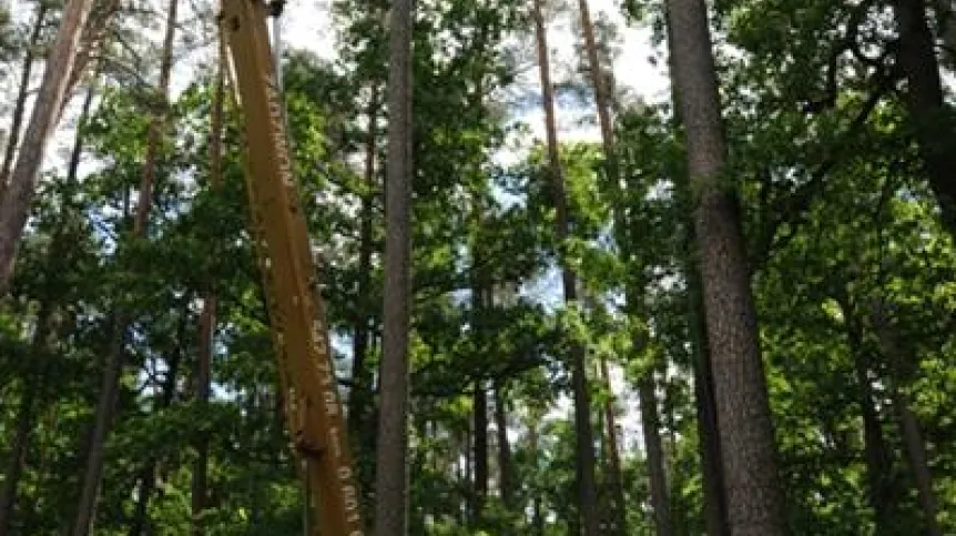 Źródło: Stowarzyszenie "Sokół"