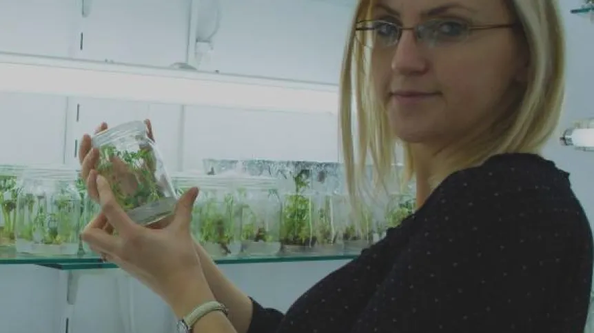 Dr inż. Alina Wiszniewska