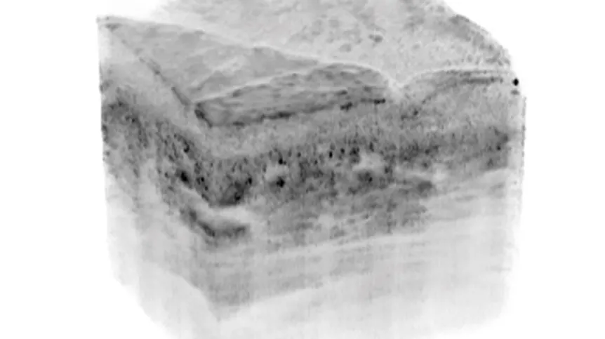 Rekonstrukcja 3D żywej skory ludzkiej uzyskana przez naukowców z IChF PAN; rozmiar 1x1x1 mm. Fot. IChF PAN