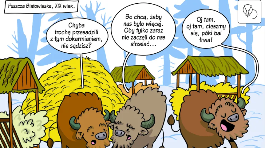 rys. Tomasz Samojlik