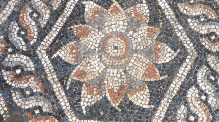 Mozaika odkryta w Aleksandrii. Fot. R.Kucharczyk/ PCMA UW