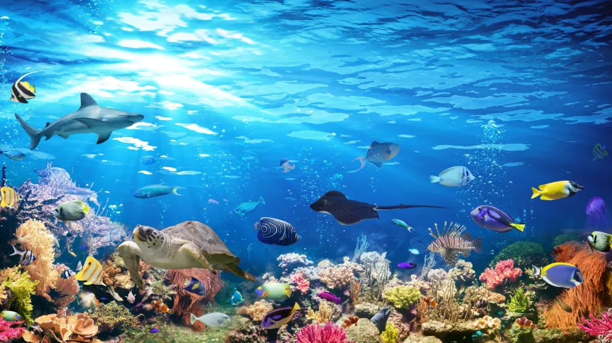Fot. Fotolia