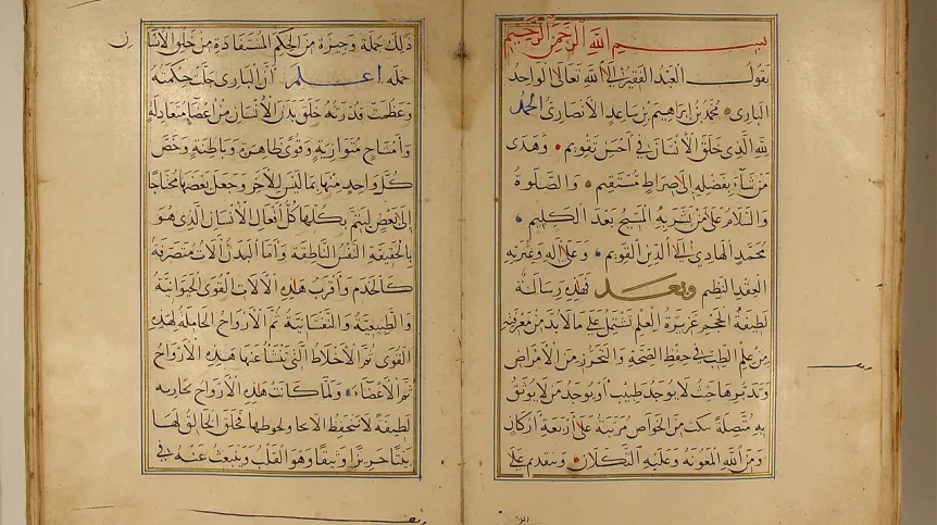 Stronice jednej z kopii dzieła Ibn al-Akfaniego w bibliotece Ghazi Husrev-beg  w Sarajewie, fot. P. Lewicka
