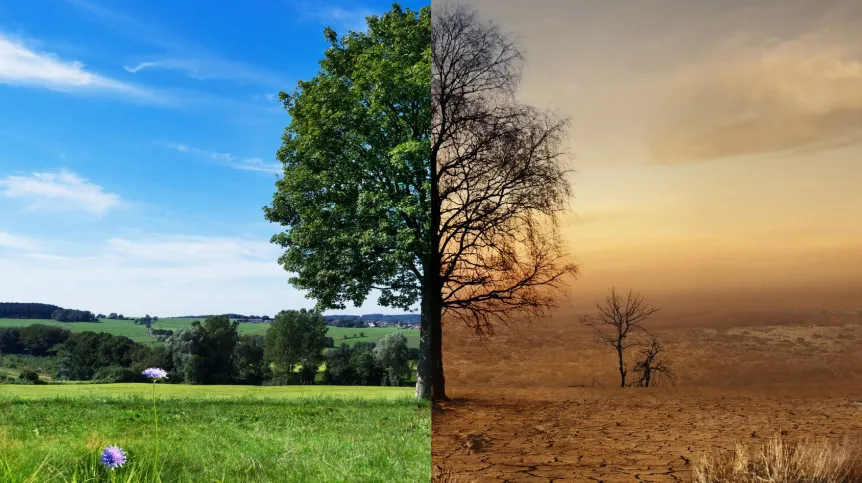 Fot. Fotolia