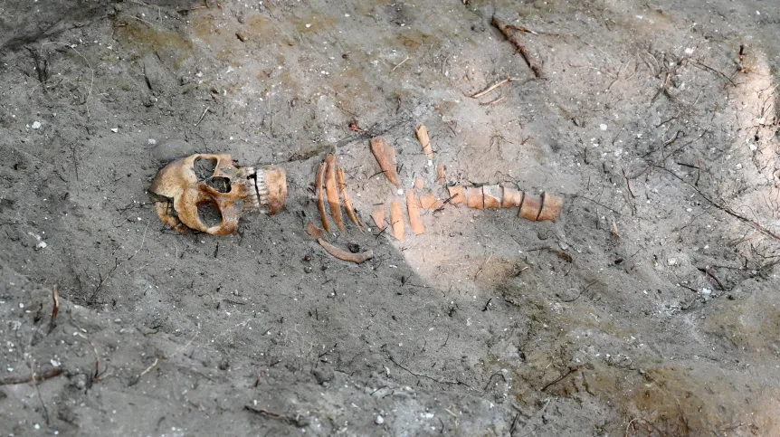 Szczątki jednego z obrońców Westerplatte, znalezione przez zespół archeologów w miejscu gdzie była wartownia nr 5, zaprezentowane podczas konferencji prasowej na terenie bazy archeologicznej Muzeum Westerplatte i Wojny Obronnej 1939 roku – Oddziale Muzeum II Wojny Światowej w Gdańsku, 24 bm. (mr) PAP/Marcin Gadomski 24.09.2019