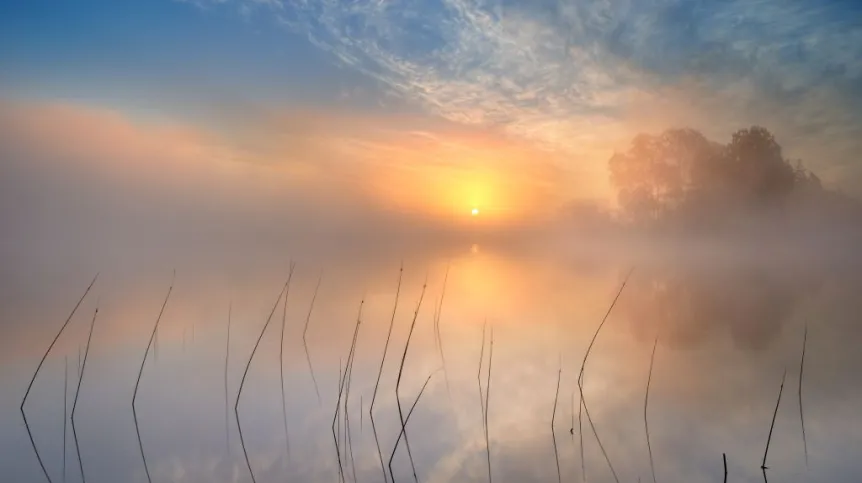 Fot. Fotolia