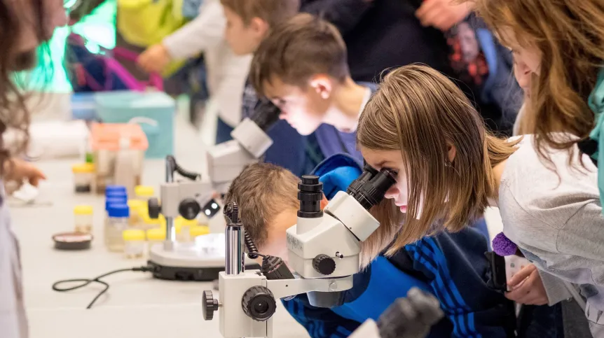 Fot. PAP/Andrzej Grygiel 01.12.2017