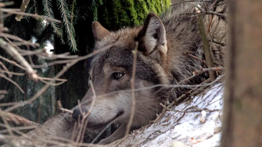 Fot. PAP/ Tomasz Waszczuk  03.03.2018 