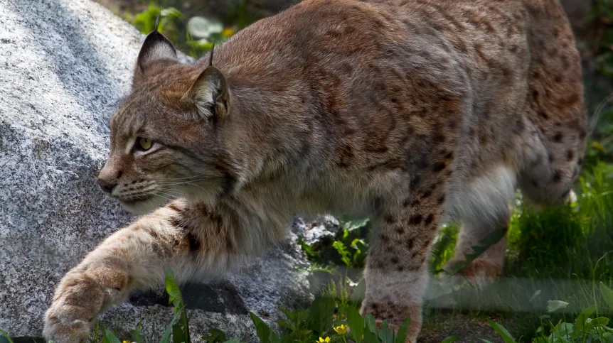 Fot. PAP/Maciej Kulczyński  23.04.2012