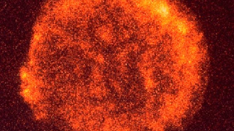 Ilustracja: pozostałość po Supernowej Tycho Brahego, obserwowana w zakresie rentgenowskim.  Credit: ROSAT, MPE, NASA
