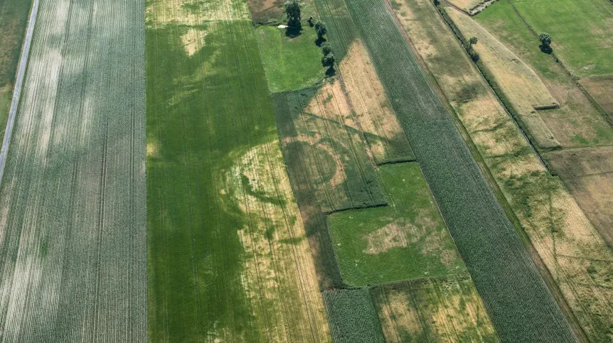 Archeolodzy nie tylko namierzyli nieznane grodziska, ale też zadokumentowali te widniejące w ewidencji konserwatorskiej. Grodzisko w Chlewie. Fot. M.Mackiewicz