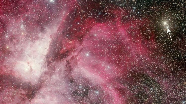 Rozbłysk V906 Car w pobliżu Mgławicy Carina. Celem obserwacji satelity był najjaśniejszy na zdjęciu obiekt - czerwony olbrzym. Il.: A. Maury & J. Fabrega, Nature Astronomy,